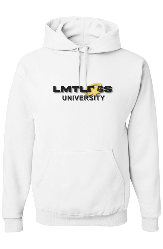 ʟɪᴍɪᴛʟᴇꜱꜱ💫- NuBlend Hooded Sweatshirt